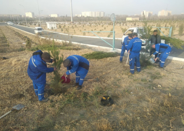 “Яшил макон” умуммиллий лойиҳаси доирасида