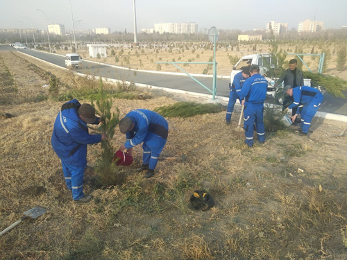 “Яшил макон” умуммиллий лойиҳаси доирасида